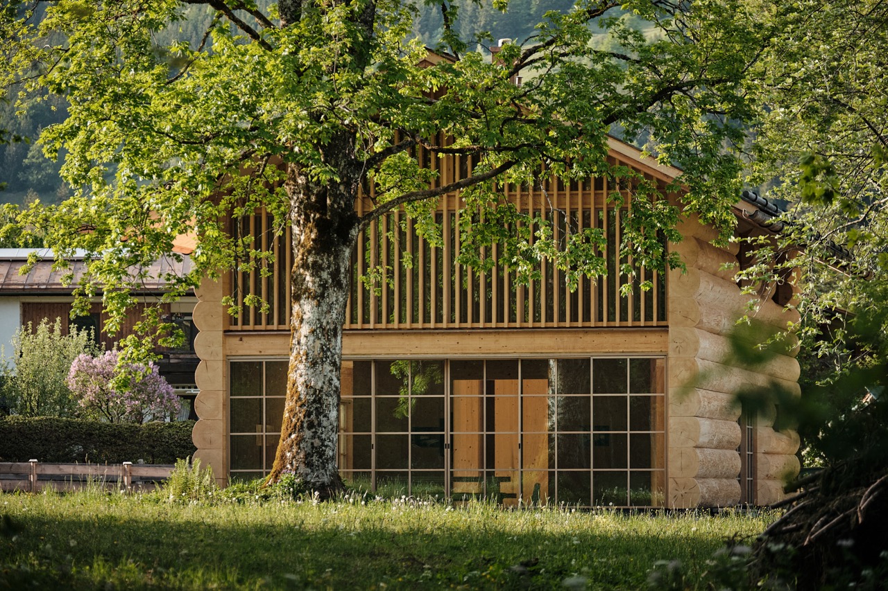 Jungle Hut — eingebettet in die Natur